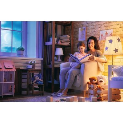 Żarówka LED 11W E27 biała zimna 36681 KANLUX (36681)